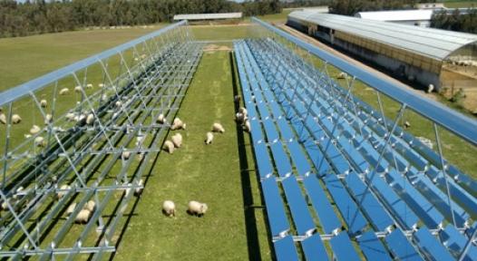 Italy: Solar Steam for Cheese Production