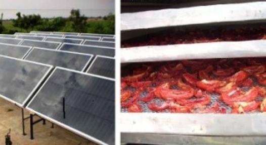 India: Solar Air Drying gives a major Edge to Vegetable Farmers